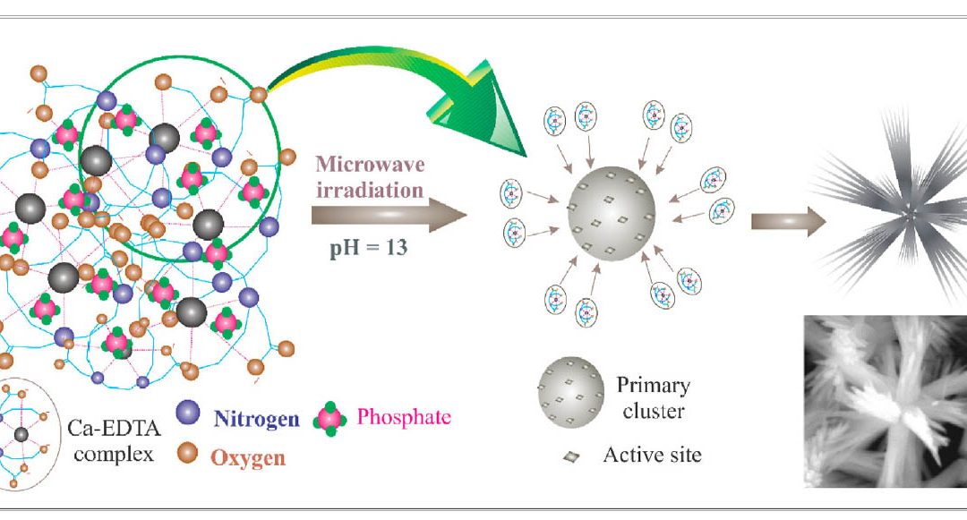 Optimization of a lab scale and pilot scale conversion of eggshell biowaste into hydroxyapatite using microwave reactor