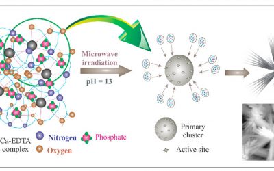 Optimization of a lab scale and pilot scale conversion of eggshell biowaste into hydroxyapatite using microwave reactor